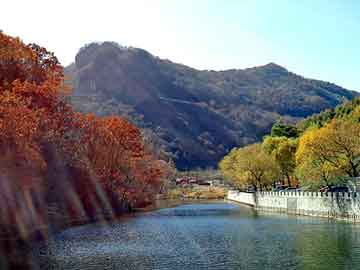 天天彩好彩天天免费，深圳到宁波物流公司